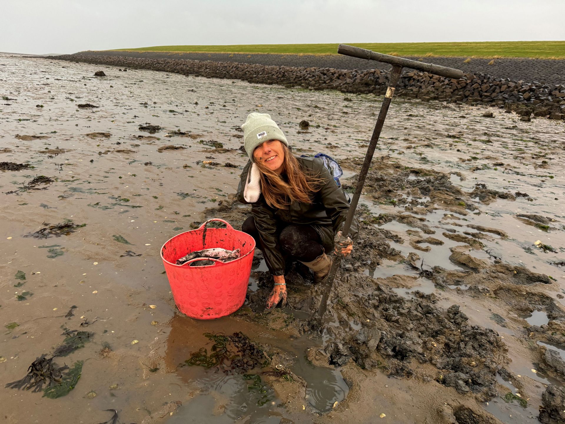 Waddenklei voor insignes verzamelen