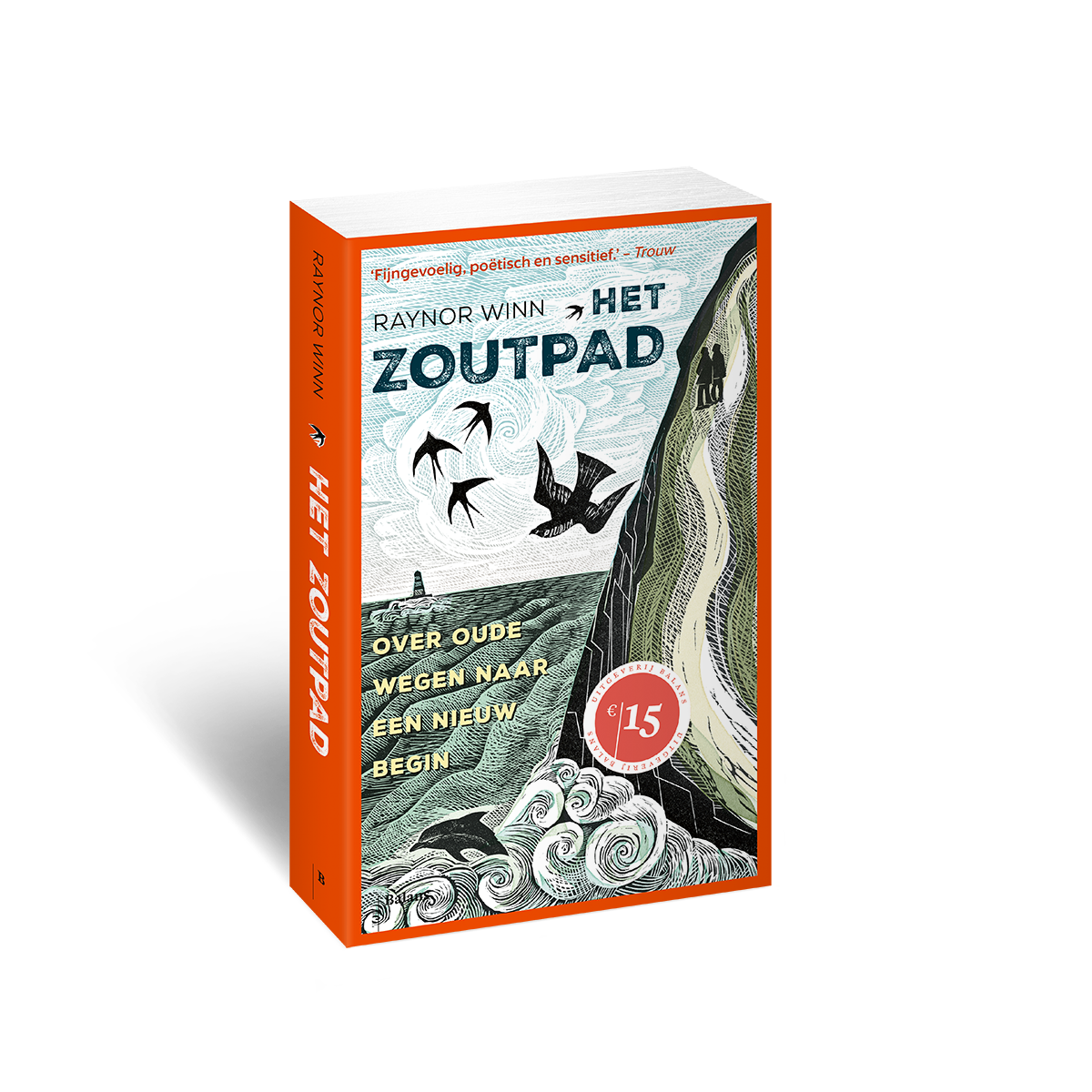 Het zoutpad